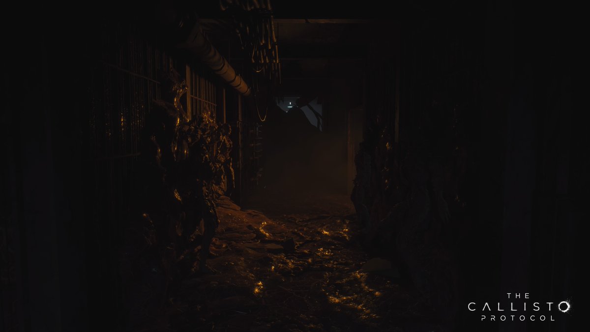 NeuroEnix's tweet photo. #PS5Share, #TheCallistoProtocol https://t.co/9IgcPnOTGC
