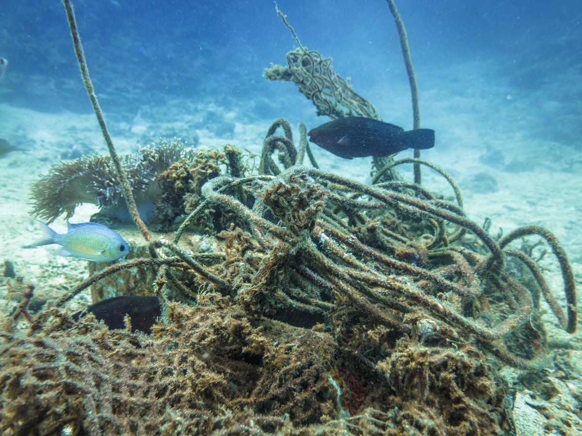 Since 2018, Thai Union has worked with the Global Ghost Gear Initiative (GGGI) to help address the growing problem of #oceanplastics.

Read more here: amp.theguardian.com/environment/20…