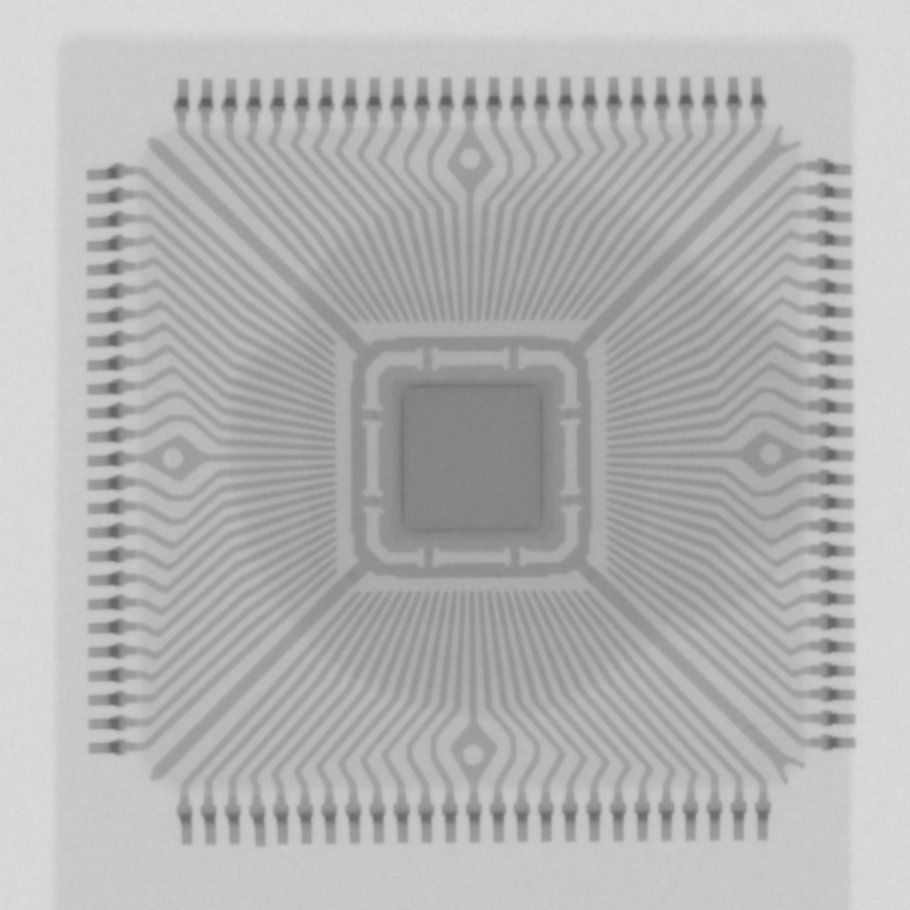 SeaLabLab's tweet image. 