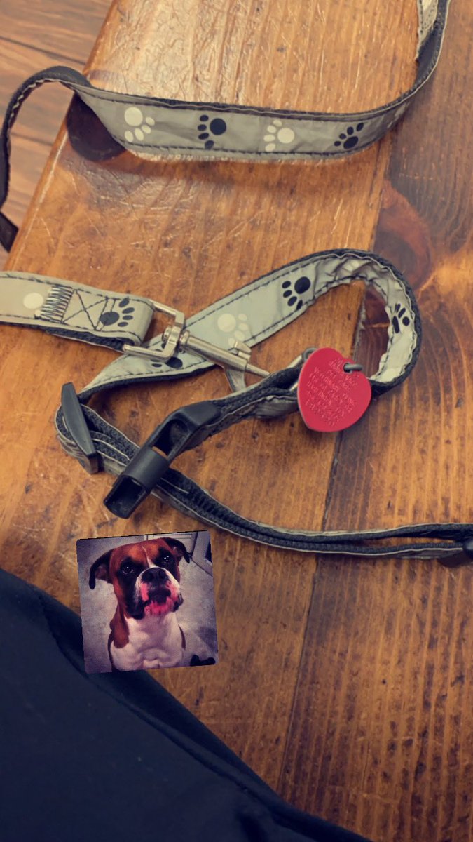 Till we meet again Bolt 🤎🖤🤍🦴