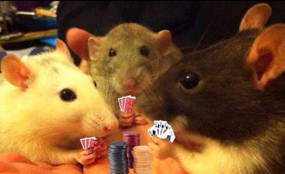 it’s game night