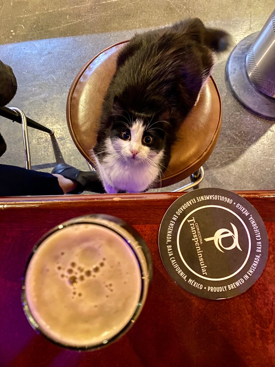 thedividingline's tweet photo. #Monday.
#Transpeninsular #Ensenada #BajaCalifornia #UrbanPhotography #TravelPhotography #ISeeYou #Cat #Pet #Love #Kitty #Meow #Pussy #Cute #CraftBeer. https://t.co/6gGWXEVAYQ