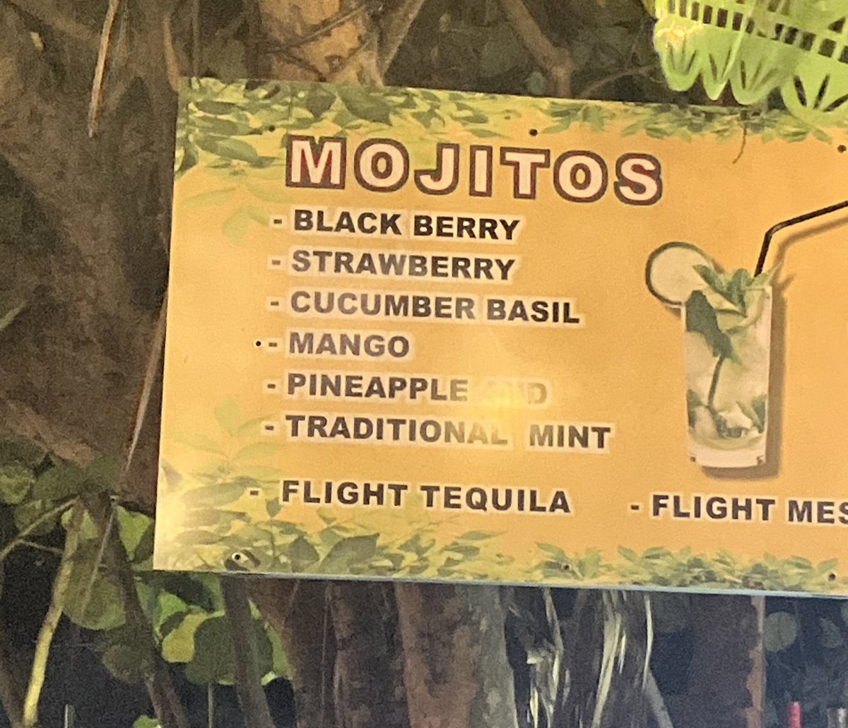 me and saylor are trying to get down this list but we are only at cucumber basil and already so fucked up