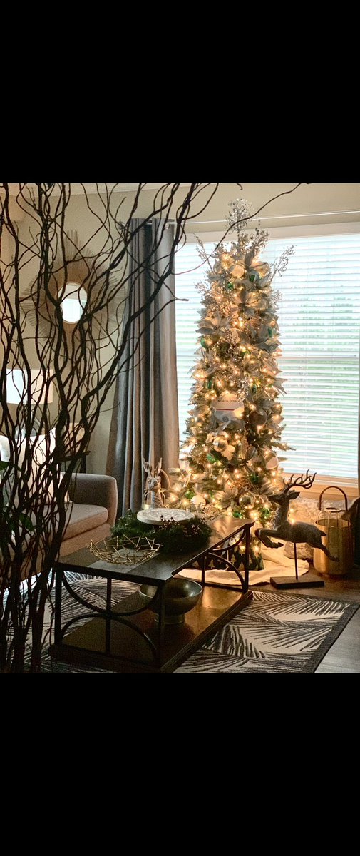 AlvaPage's tweet photo. Walk by my tree and capture this image. I like 👍🏿 https://t.co/TtC3l1CDCI