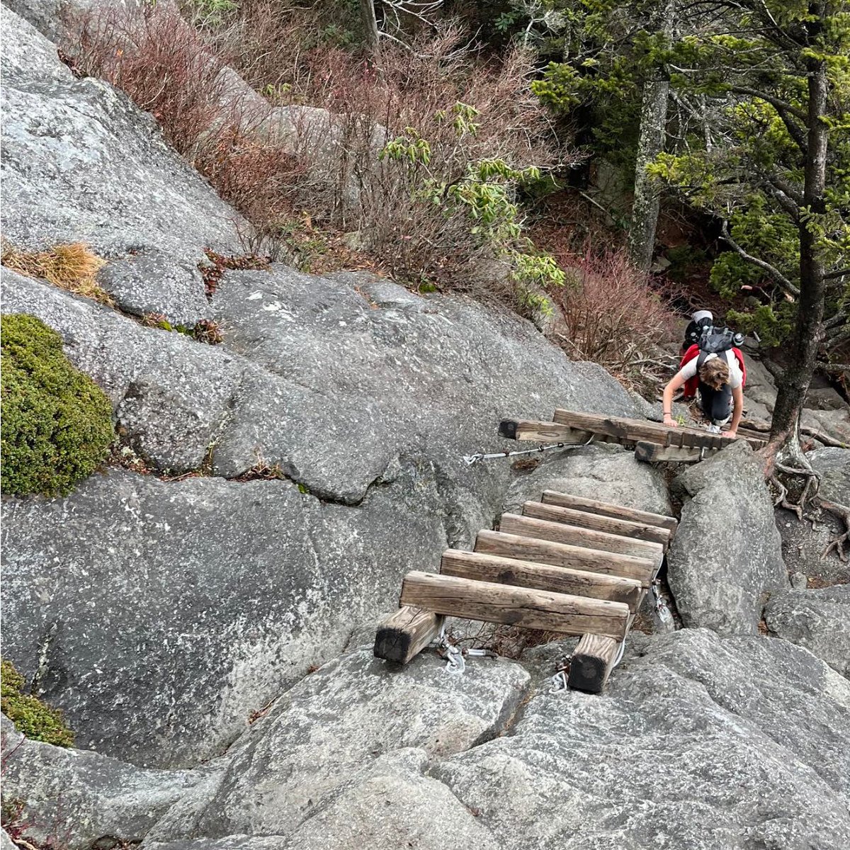 FamHelp's tweet image. Equinox students enjoyed a hike with a steep climb!

#MovementIsMedicine #GetOutside