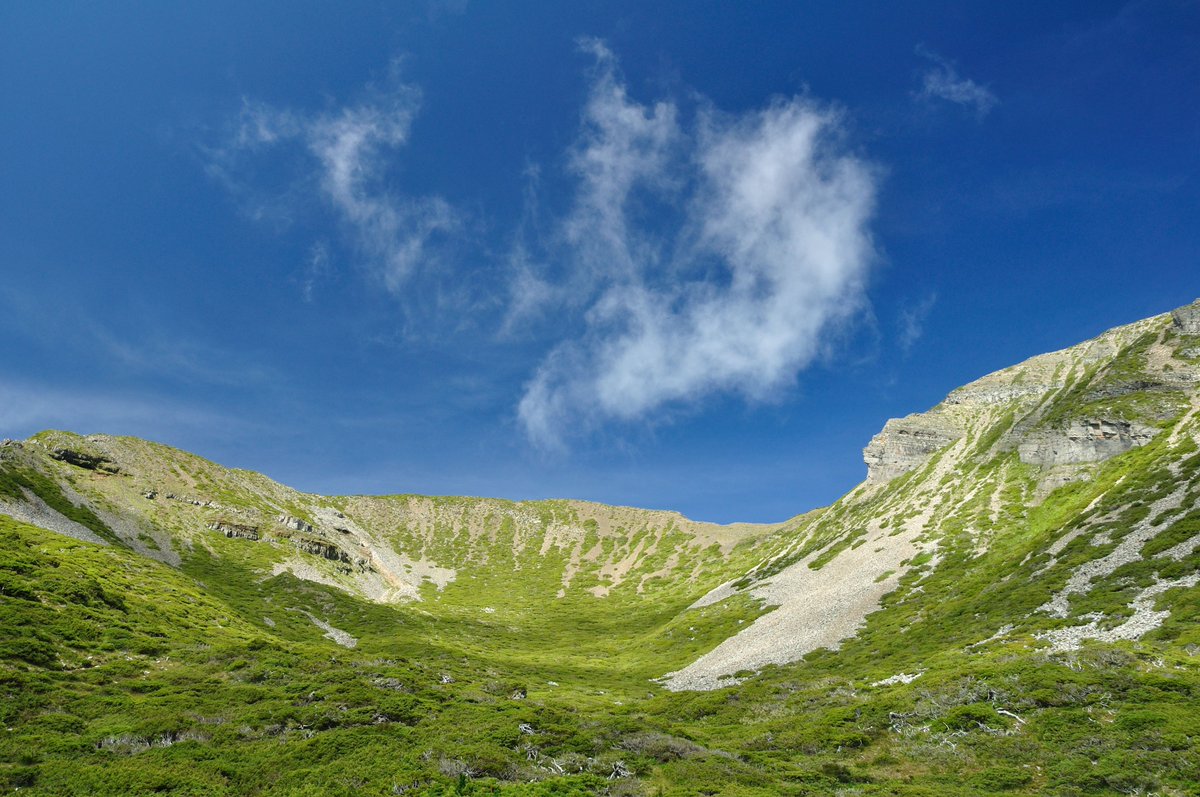 Whyjay Zheng tweet media