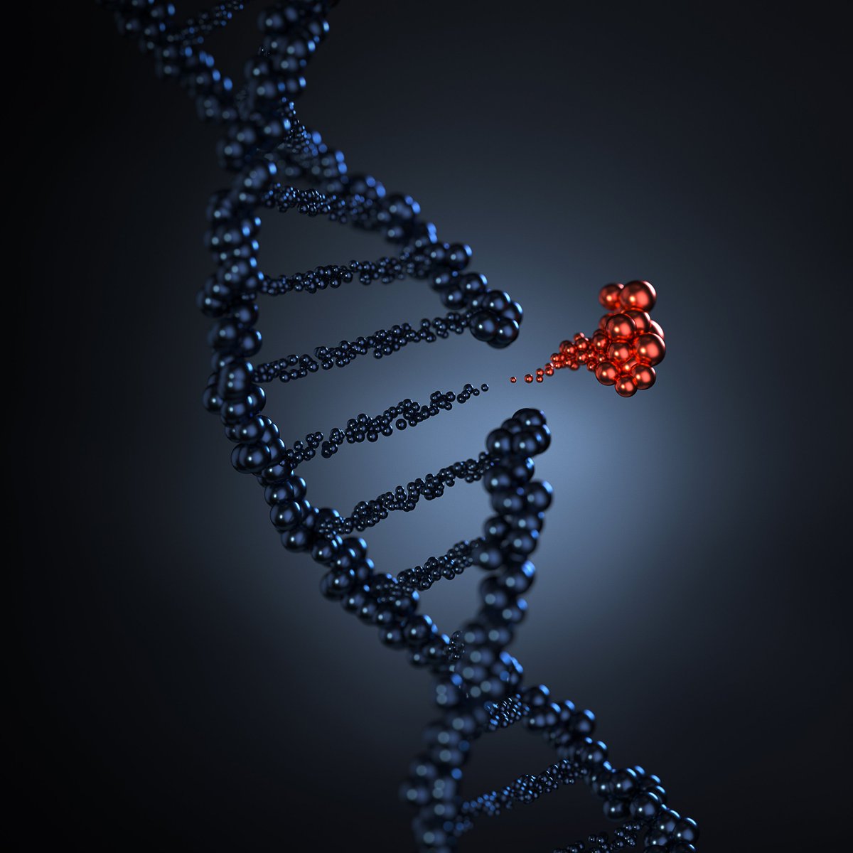 ScienceChannel's tweet photo. In 2018, scientists revealed that they could reshape DNA using CRISPR gene-editing technology - powerful enough to change eye color or cure HIV. 

This technology edits genes by precisely cutting unwanted DNA, allowing natural DNA repair processes to take over.

#ScienceInTech 💻 https://t.co/kOpCHLn9U1