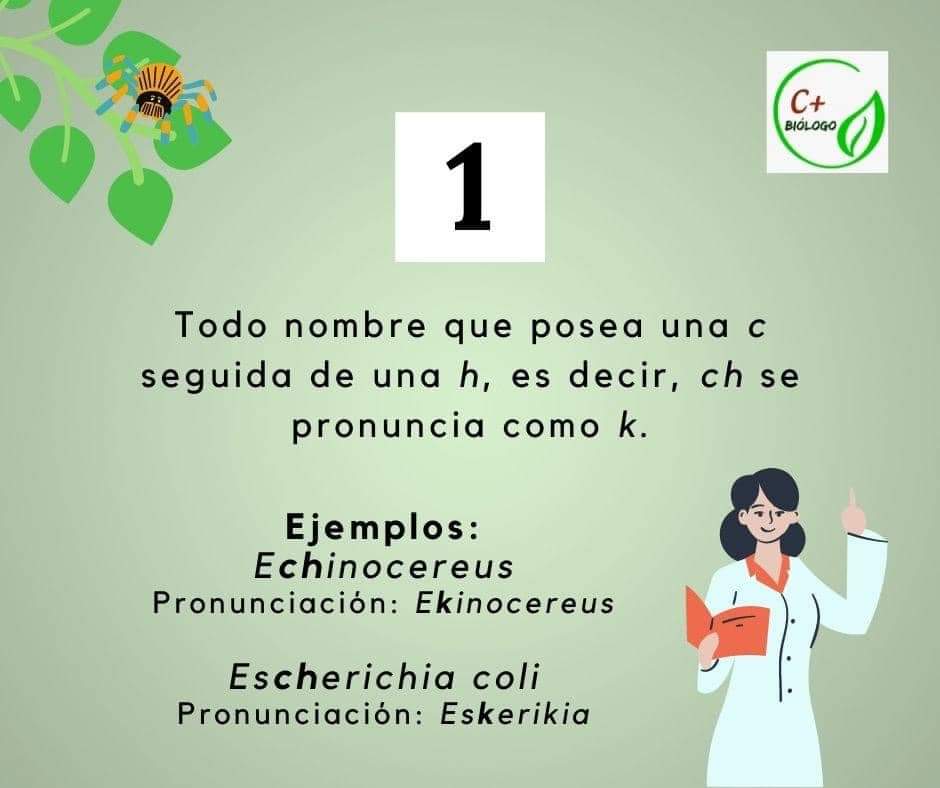 mICROBIOsh's tweet photo. 👩‍🔬Cómo pronunciar correctamente nombres científicos. https://t.co/PT4loHMh7H