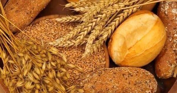 sgelpi's tweet photo. Americans are eating more whole grains than ever, but it's still not enough. Moreover, according to a new study that found competing definitions, only some agree on what whole grains are. https://t.co/ouBuvQXZKy https://t.co/ehmCEkxl8w