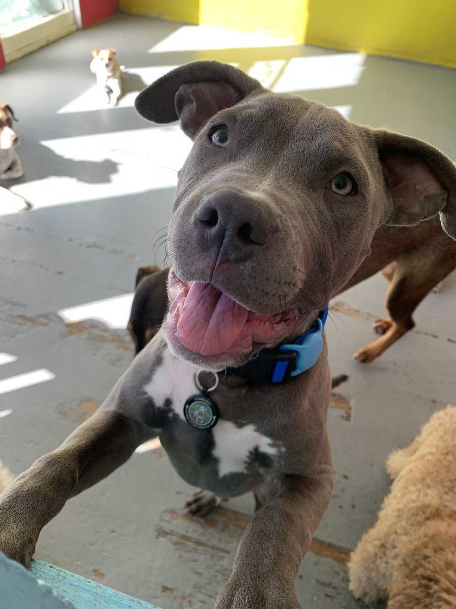 Mayling Ng tweet media