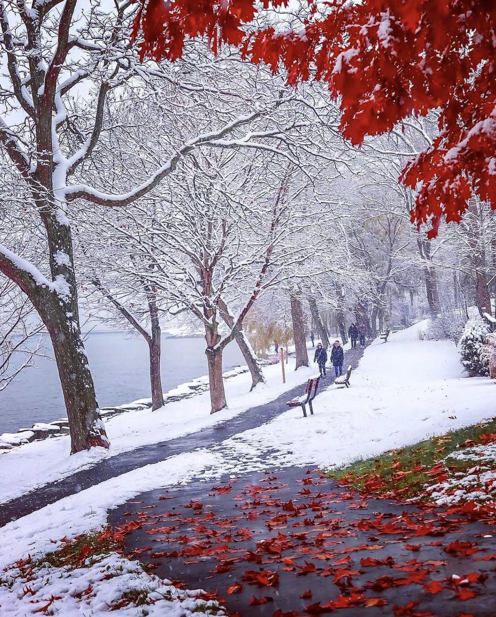 Kanada’da Kış ❄️ 📸