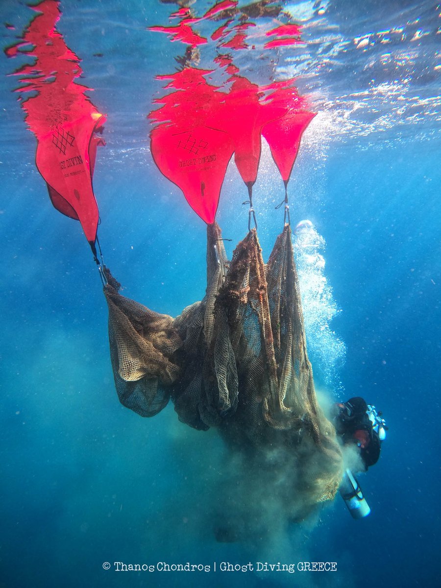healthyseas_org's tweet photo. When nets get lifted off the sea floor, we take care of their #recycling &amp; #upcycling! ♻️
Turning them from an #environmental threat into a valuable #resource 🌿
During the last @ghostdivingorg #Greece mission #volunteers retrieved a #fishfarm net, a trawler net &amp; a gill net 💪 https://t.co/bd9sOyAnbJ