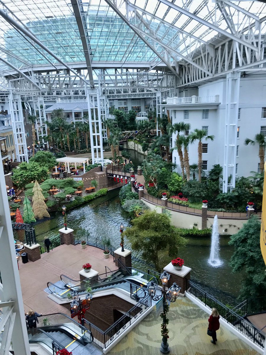 Stephanie Miller tweet media