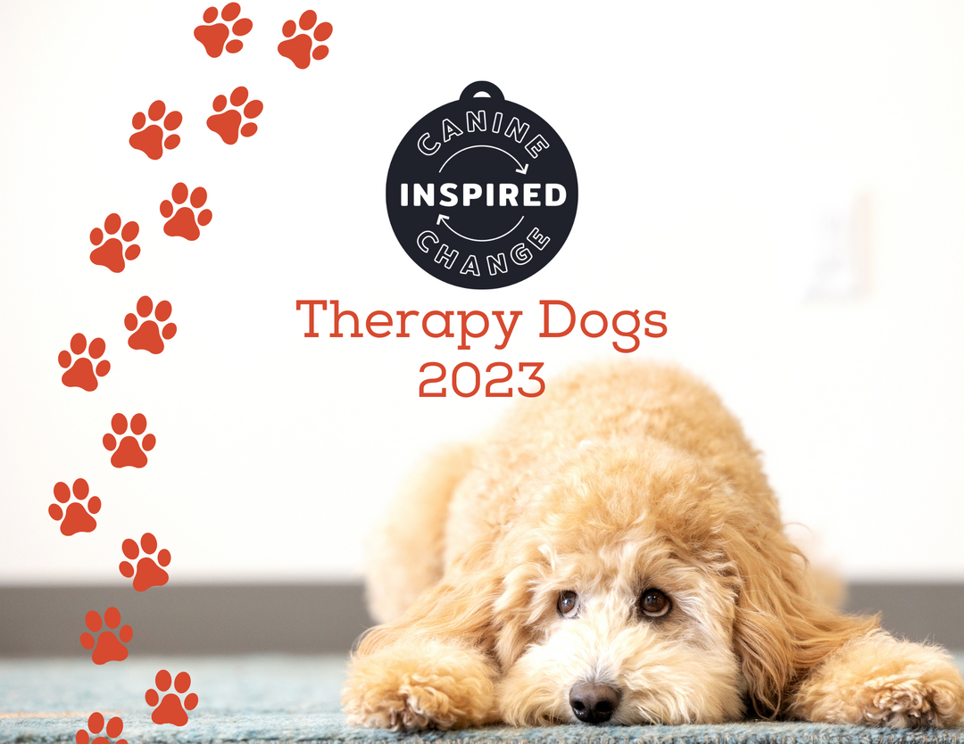 DO GOOD WITH YOUR DOLLARS 🐾 New Merch just added to our CIC Shop! Pre-order now and receive it before holiday gift giving! Each purchase directly impacts the CIC mission to do good with our dogs! Link in our bio to shop!

#shopsmall #nonprofit #youmatter #wecicyou