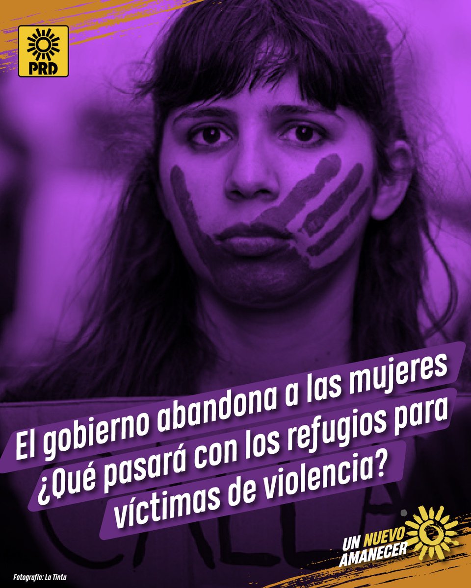 Los Refugios para mujeres y niñas víctimas de violencia siguen en el limbo, el gobierno federal reduce el presupuesto pues parece que las mujeres no somos su prioridad.