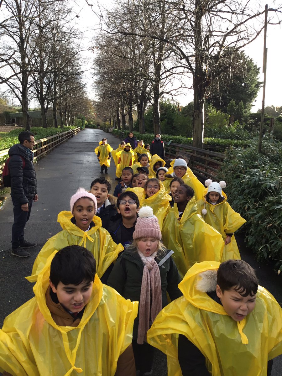 PleasantScience's tweet photo. Year 3 had a fabulous day at the zoo recently. The rain did not stop us exploring the wide range of animals. @PleasantStPrim @C3Pleasant @chesterzoo https://t.co/AJNfBAvZPK