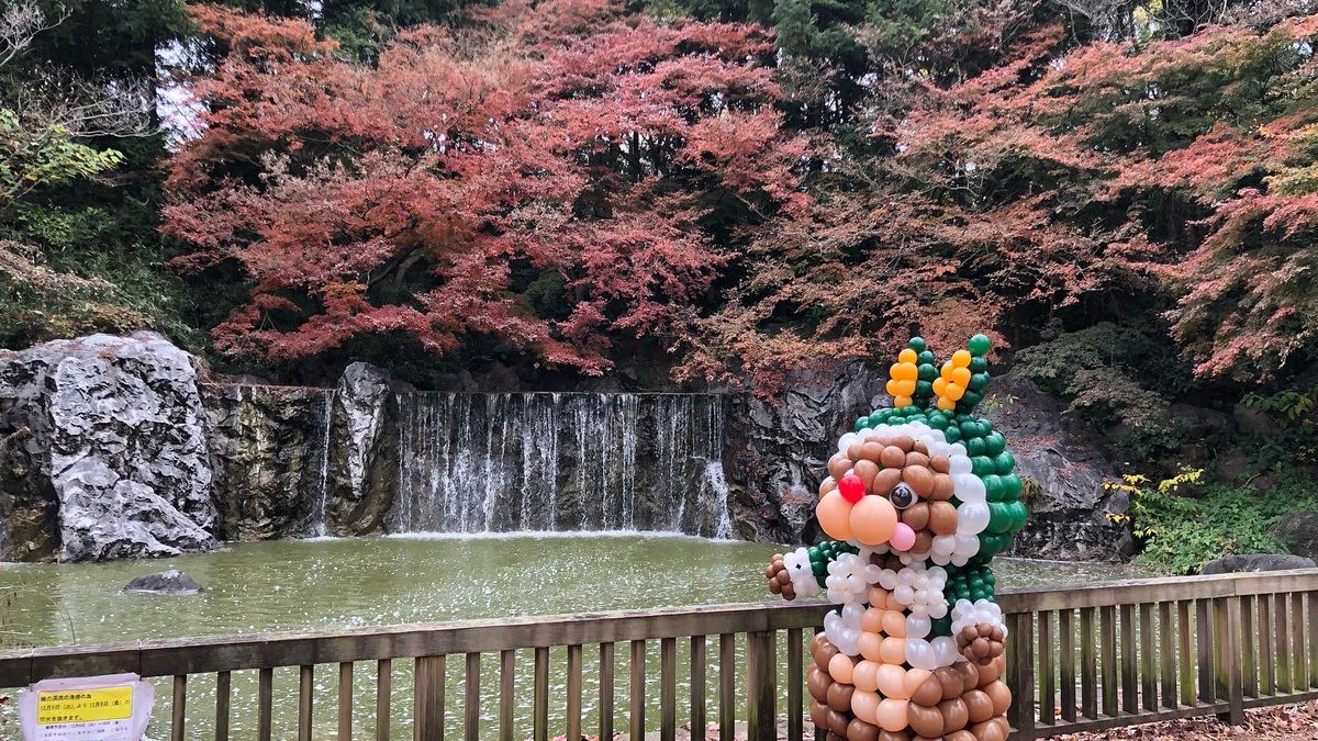 BKettan's tweet photo. 野村昌子先生の講座で作成した着ぐるみバルーンでロケをしてきました。

沢山の子供達とも触れ合えて楽しかったです。(^^)

#着ぐるみバルーン
#野村昌子
#鶴見緑地 https://t.co/DBmjKsJO7t