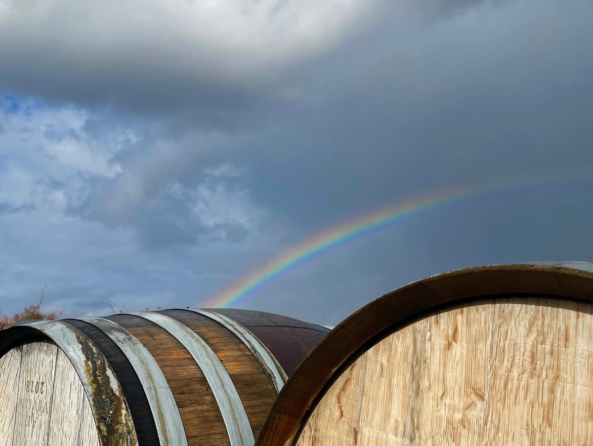 Better than gold! 🍷 #tastetherainbow