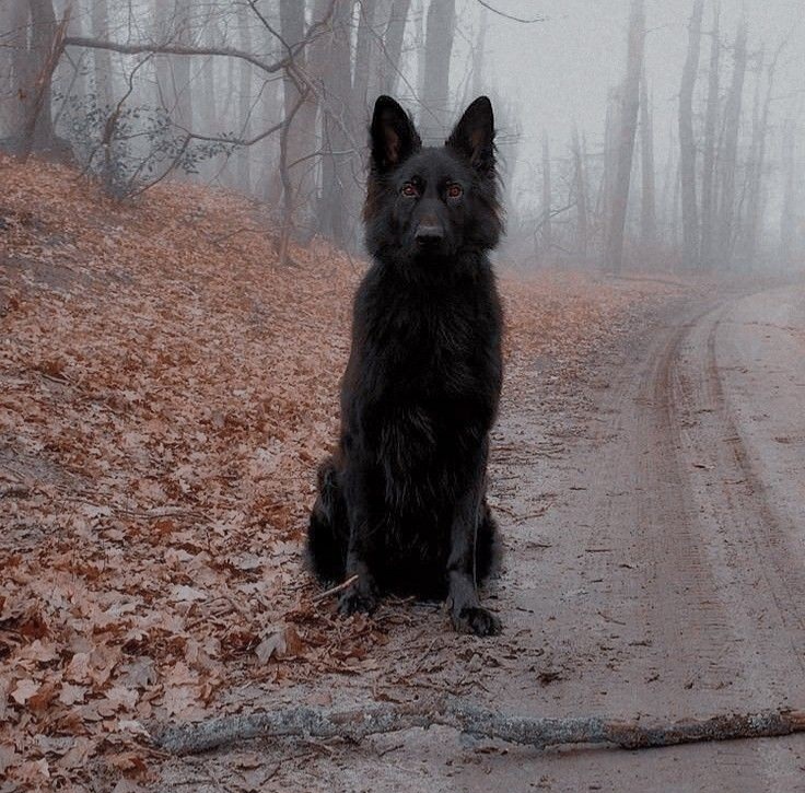 (♯)

สร้างแอคมาเพื่อโรล ❌

สร้างแอคมาเพื่อตีกับบอทสเนป ✅