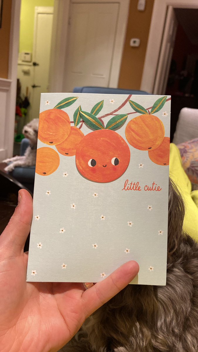 A bunch of my colleagues banded together and got liza and I gifts for Ada’s birth and my heart has exploded