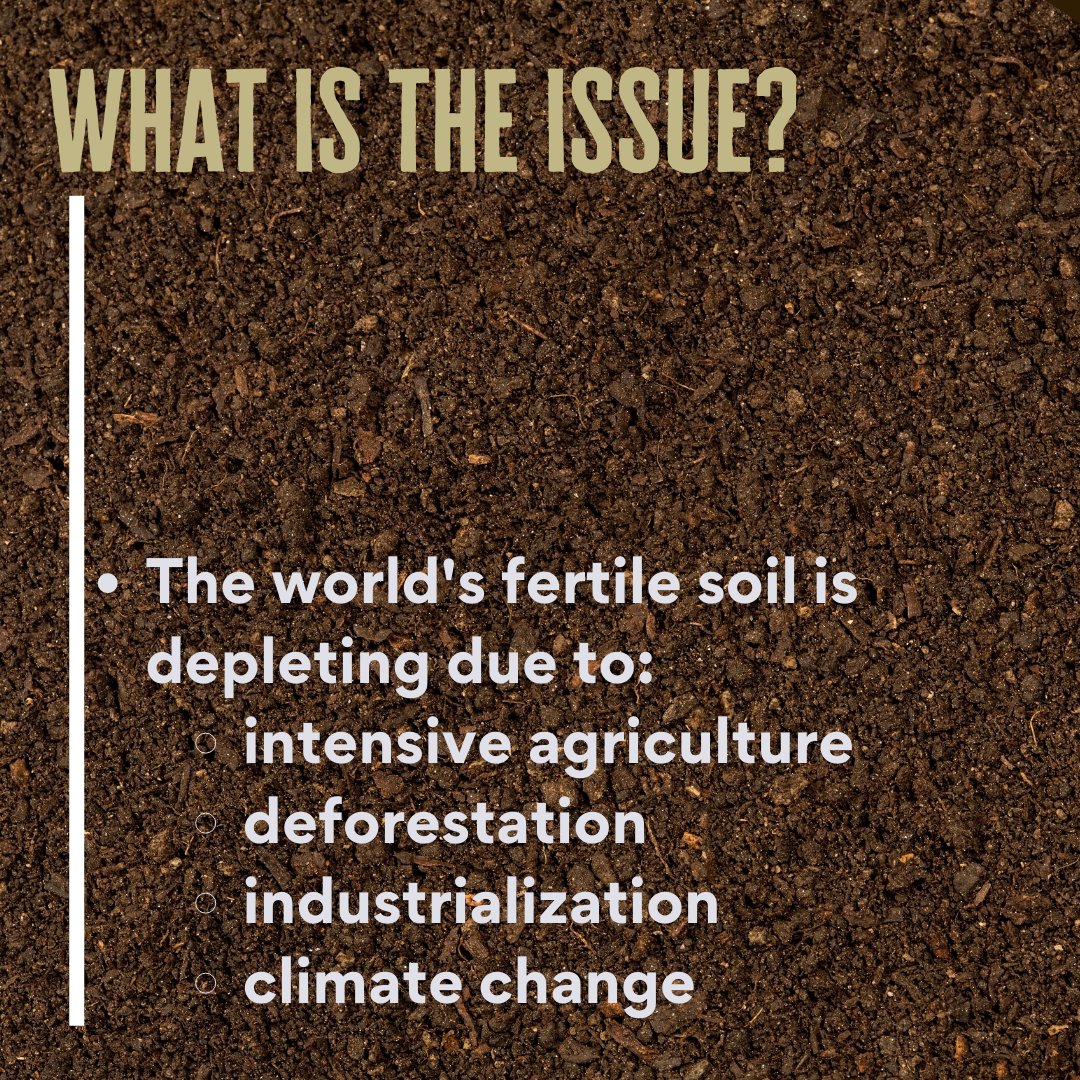 bbearcomposting's tweet photo. Today is World Soil Day! Swipe to learn more about soil fertility and how you can help!
#blackbearcomposting #composting #compost #zerowaste #foodwaste #sustainability #vermicompost #sustainable #gardening #organic #sustainableliving #recycle #ecofriendly #compostbin https://t.co/XYuUKYPaCi