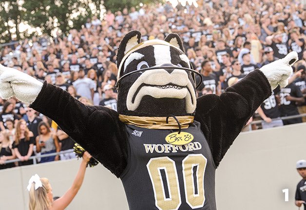 Cameron Jackson ⚜️ tweet media