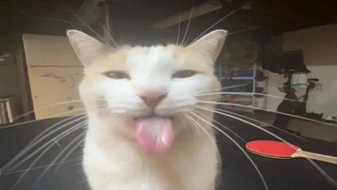 hzowater's tweet photo. @kawaiibossbaby this is me https://t.co/Cqy2t7S9H4