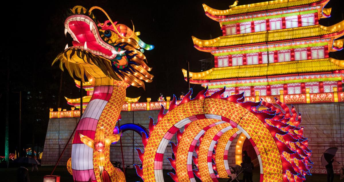 ProfoundLadies's tweet photo. Light up one of your nights this holiday season with 4 tickets to the NC Chinese Lantern Festival, hosted by @KokaBoothAmp! This could be you after you bid and win these great tickets! Start bidding: https://t.co/SOU7PczXBG

 #charityauction #giftsforgood #CaryNC #RDU #nced https://t.co/yNKxEfin7Y