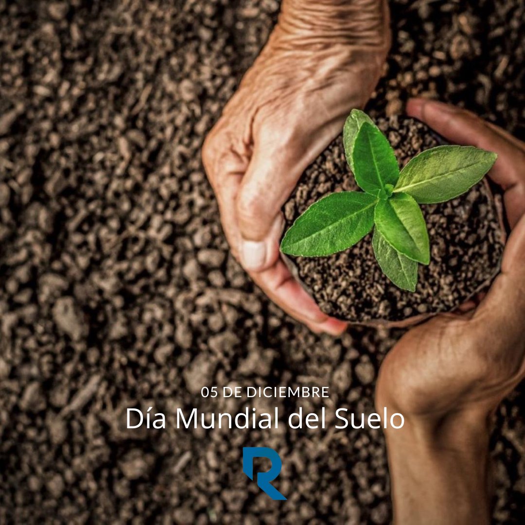 GroupRizoma's tweet photo. En el #DíaMundialDelSuelo queremos reforzar lo importante de preservar los suelos sanos para una producción y vida sostenible.

De los suelos se nutren infinidades organismos vivos, por tanto, mantener el suelo sano y fértil será un gran contribución para el planeta🌱 https://t.co/4uQ5Nsbaoh