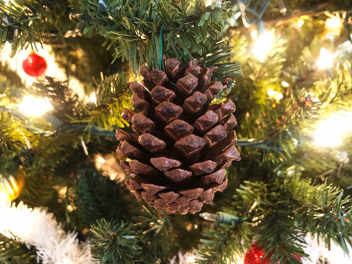 southernmomlove's tweet photo. Make Your Faux Christmas Tree Smell Like the Real Thing, Naturally! https://t.co/9Jdl1UznjD 

#DIY #scented #christmastree #faketree #eorecipe holiday https://t.co/BIYqYAYGwT