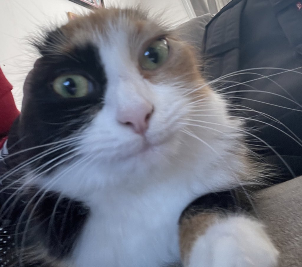 ‍ ‍ ‍ ‍ ‍ ‍ ‍ ‍𝓜𝘪𝘭𝘭𝘦𝘳 ‍ ‍ (@meianchoiiia) on Twitter photo 