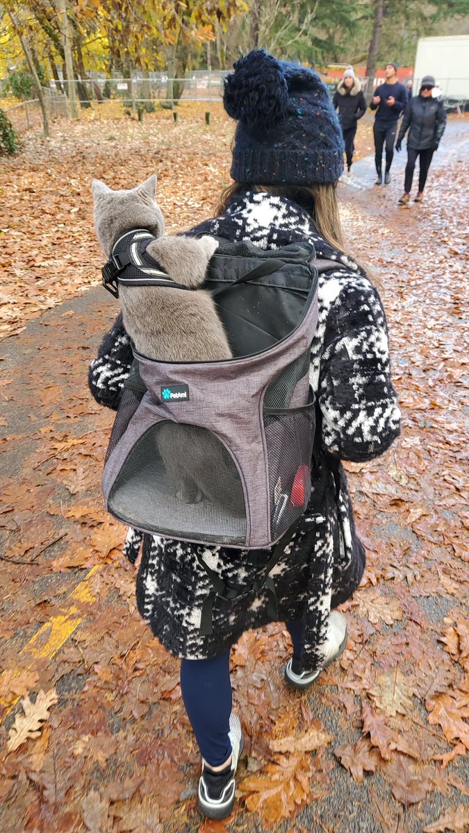 HeavyOnDaSticks's tweet photo. Taking the 5th for a walk. She likes to see what's going on. https://t.co/zhIevBMtnW