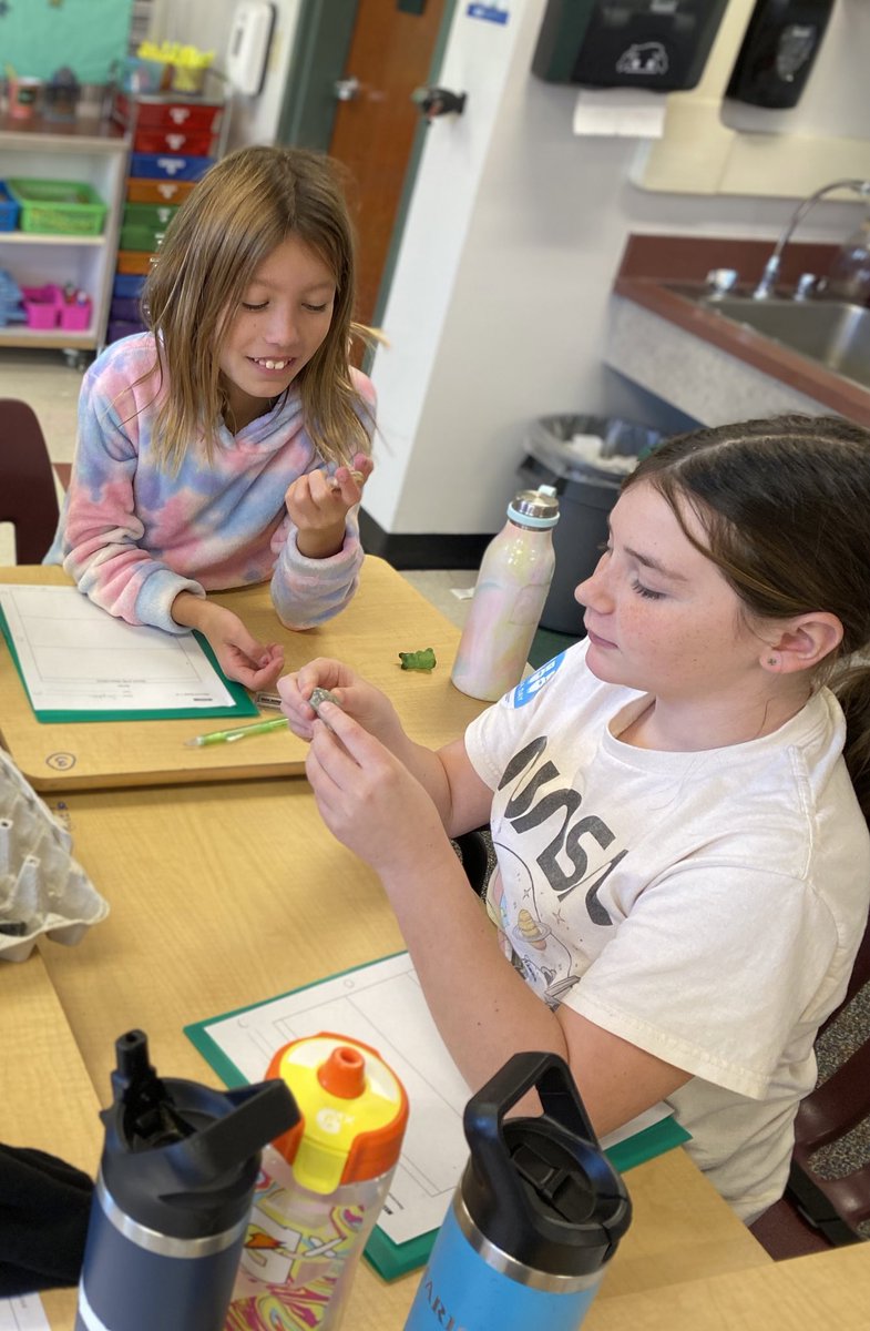 Today, we observed the properties of rocks! Students sorted them based on their observations. Ask your child how they decided to sort their rocks and why! @UCFSD <a href="/ChaddsFordUCFSD/">Chadds Ford</a> #HandsOnLearning #Science #TeamWork 🔎