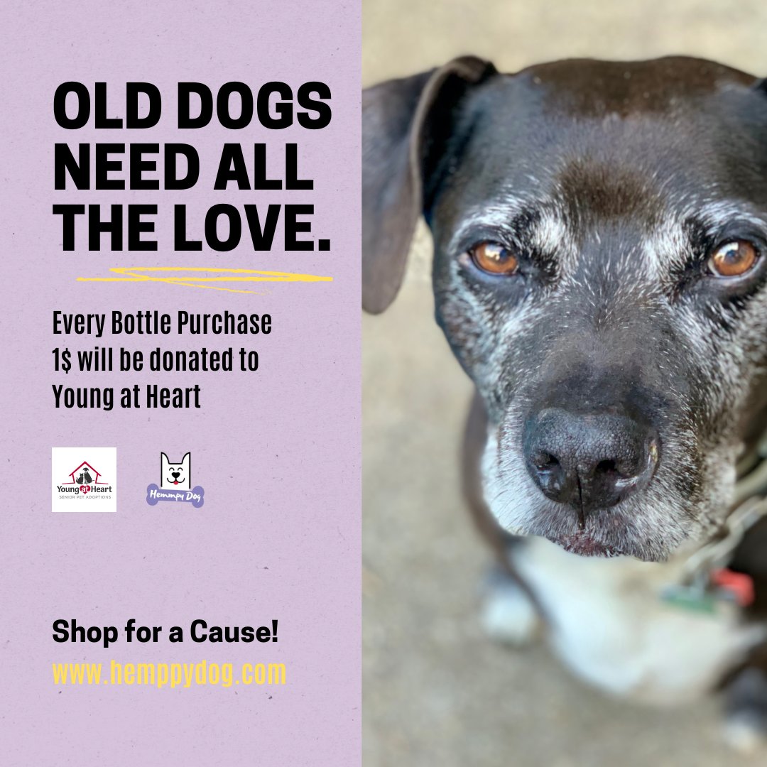 Shop for a Cause for Senior Pets. 
Get it here > hemppydog.com
