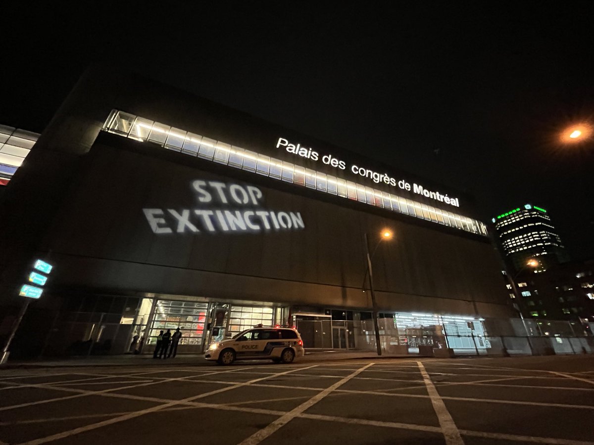 hassinhadi's tweet photo. « Stop extinction », peut-on lire ce soir sur la façade du Palais des congrès de Montréal, à quelques heures de l’ouverture de la #COP15. Le message est projeté par des militants américains membres du groupe @backboneprog. #rcmtl @RadioCanadaInfo https://t.co/fZDDbSs3R0