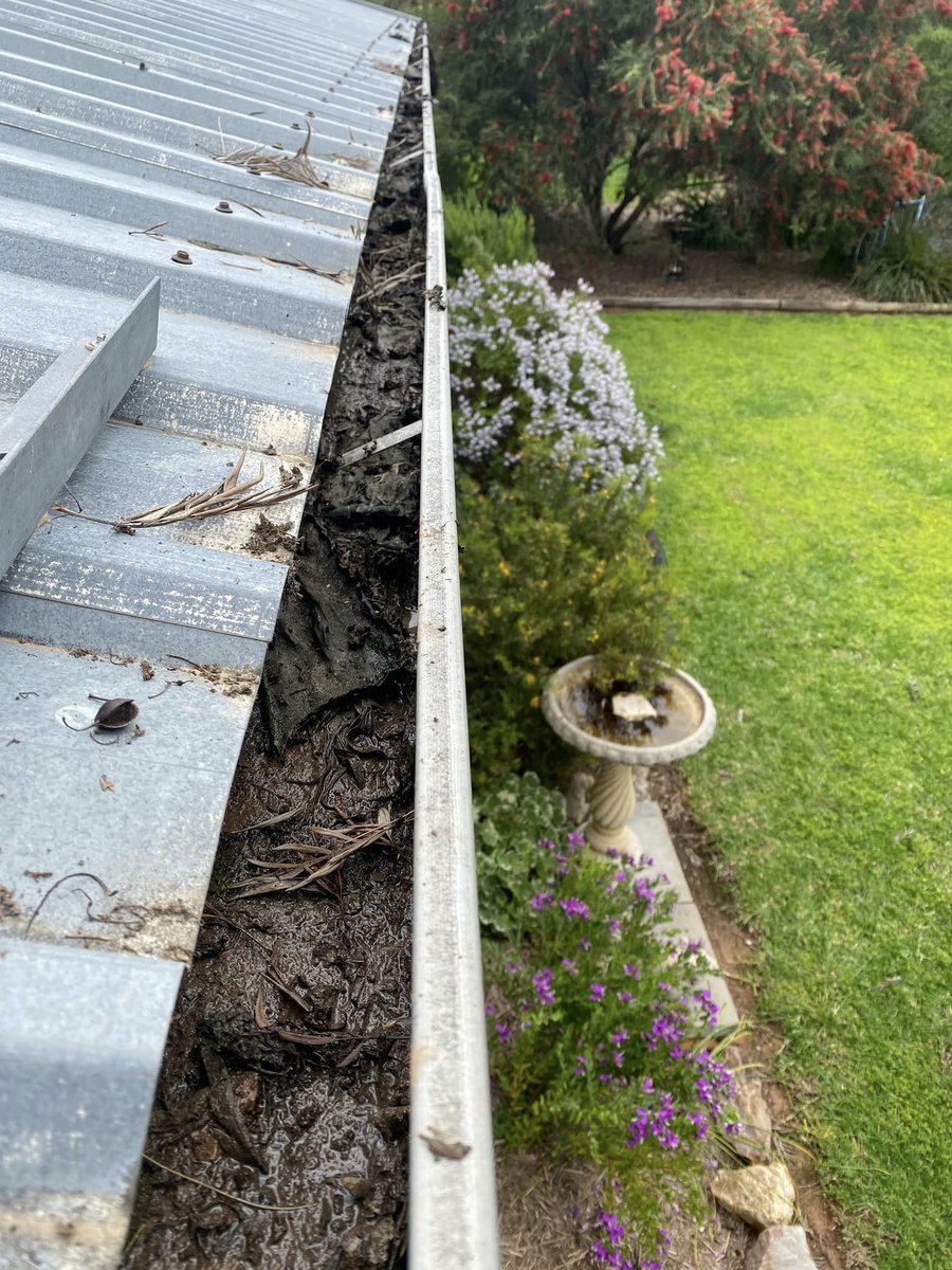 Aust Industrial Vac tweet media