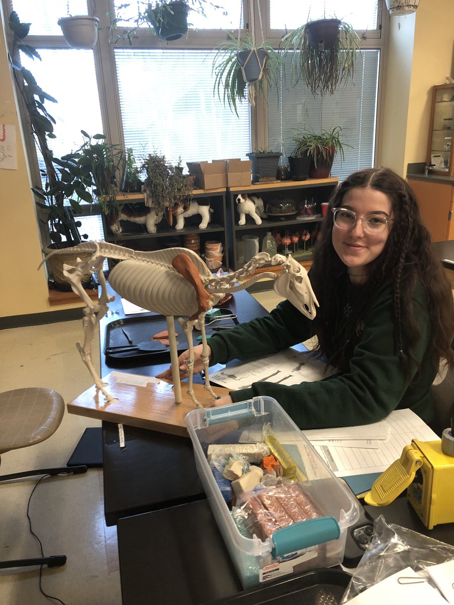 CPSHoward's tweet photo. Senior demonstrating muscle proficiency using equine models for their vet science class! #zooacademyrocks #zooacademycps #iamcps #hughesstem https://t.co/ZvPaF9BwxO