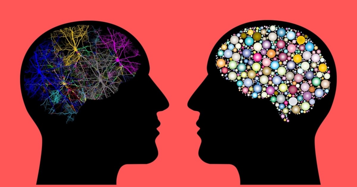 Ruth_Morrison9's tweet image. VL favors using words and linguistic skills. VB is a method of teaching language that focuses on finding its functions. Skinner: &quot;To teach a child with language delays a sense of a word, one must first teach its function&quot; #ENSJ #Verballearning&amp;amp;behavior @ItzaFM #psycholinguistics