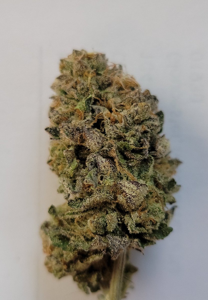 TabbCraig's tweet photo. I'm just curious but if you were to buy an ounce of this 28g what would you expect to make? I was asked by a friend and it just made me curious. I told them it's for personal use. https://t.co/pOfo5CYfdX