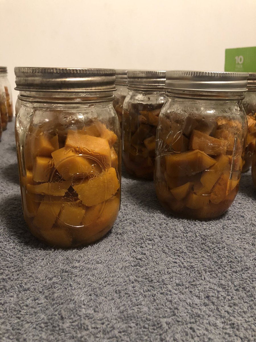 Set_In_My_Skin's tweet photo. Dry canned butternut squash and shipwreck soup over the weekend. 43 pint squash, 6 pints soup. 👍 #soup #canning #drycanning #shipwrecksoup #homesteading https://t.co/ohqPJQXflW