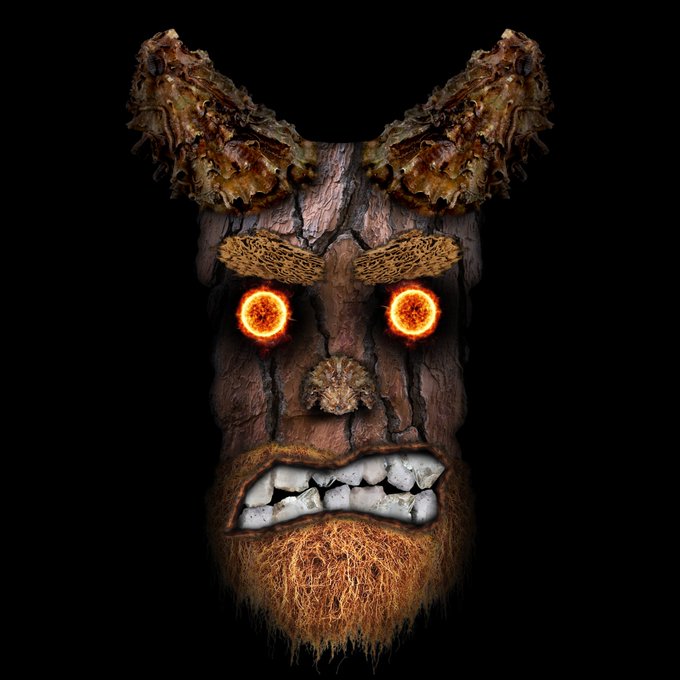 CryptogirlNG's tweet photo. made out of nature and with fire in his eyes not to consume but to light up the dark parts of fthis world
#mn369 #WeAre369 @AkuAku369 https://t.co/CLkcAtDNnt