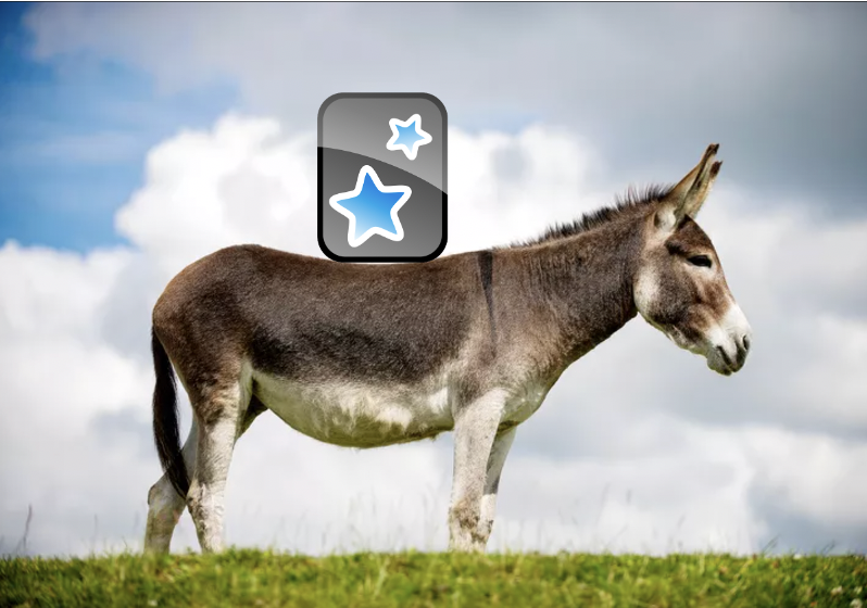 mhjrad's tweet photo. you’ve heard of elf on a shelf, but have you heard of https://t.co/K4pEmcPje4