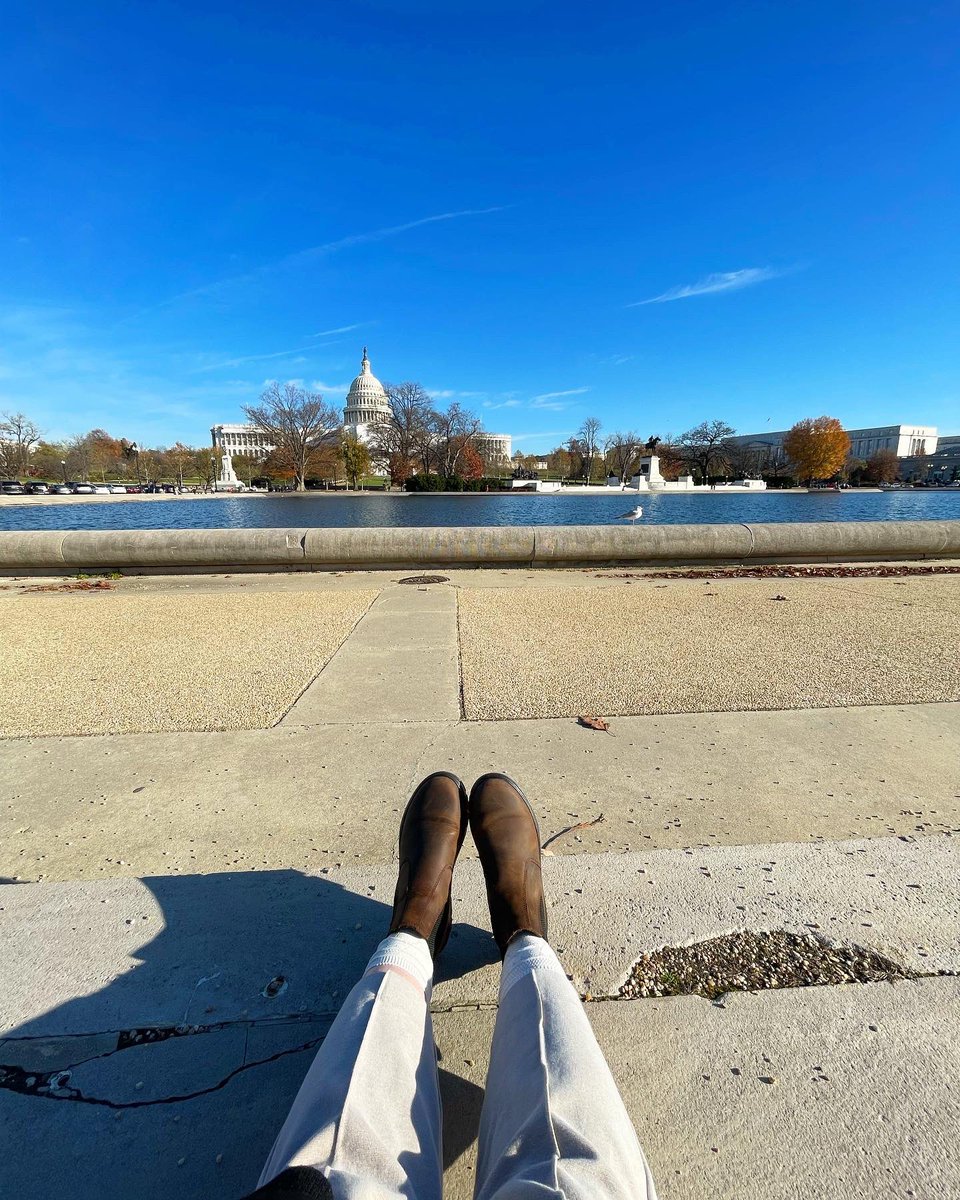 Emily Knight tweet media