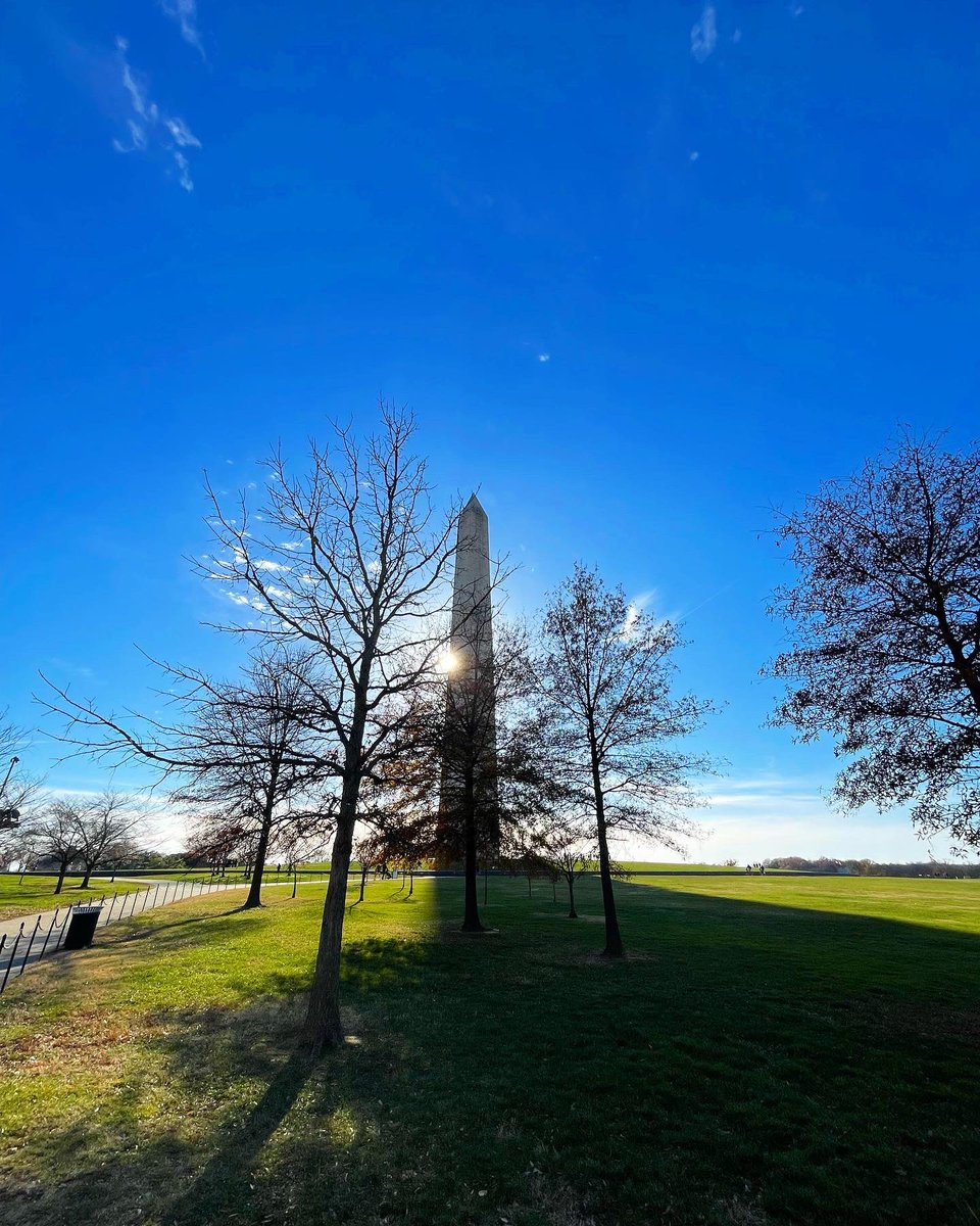 Emily Knight tweet media