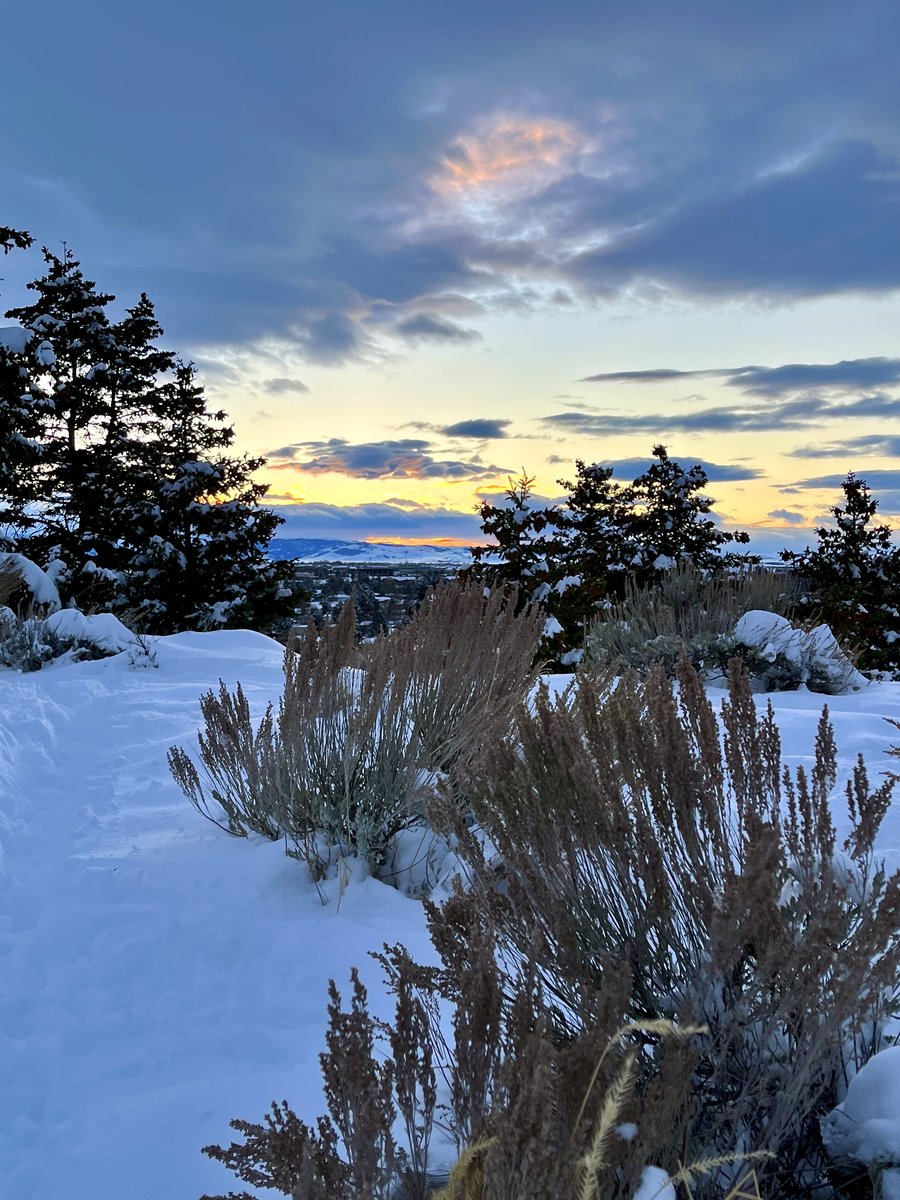JasonKechely's tweet photo. My obligatory 'practice being a positive, upbeat, and nice person for an hour' walk on Peets was particularly sweet tonight. The fresh snow bringing out the happy Kid in the people and some extra Goof in the dogs...
#SunsetShrubbery #MTWinter #SpreadLoveLikeButter https://t.co/xs5VyozeTg