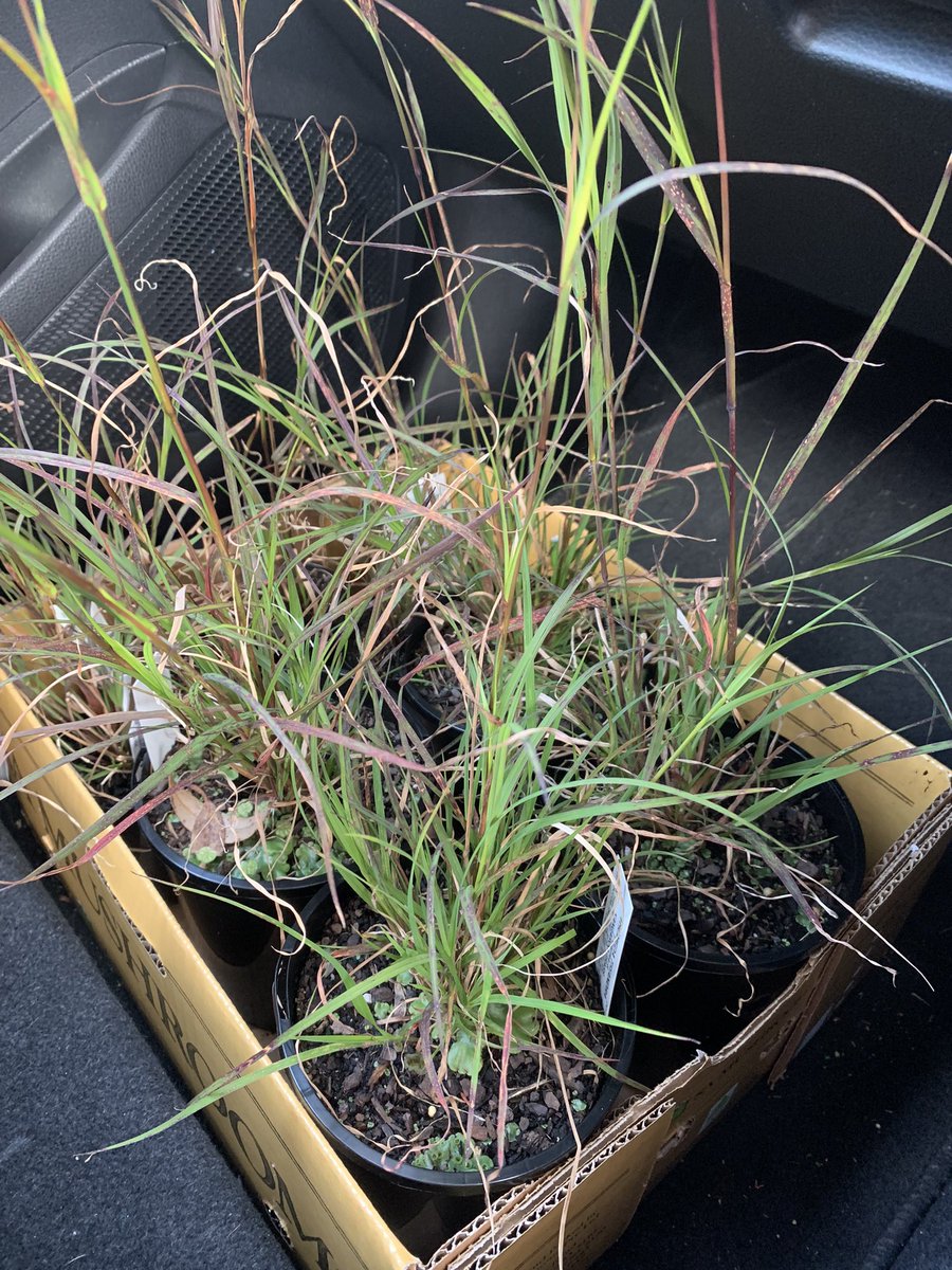 Jazmine Humphreys tweet media