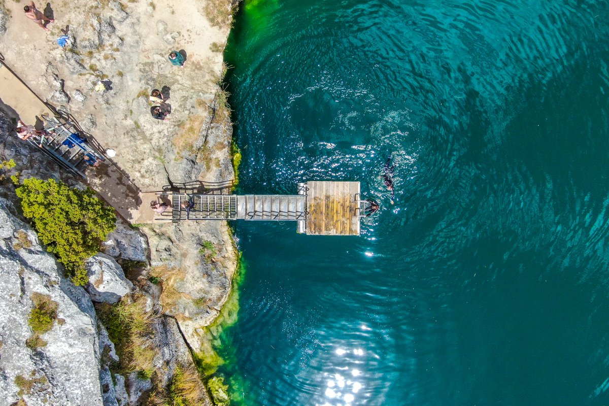 Bec Whetham tweet media