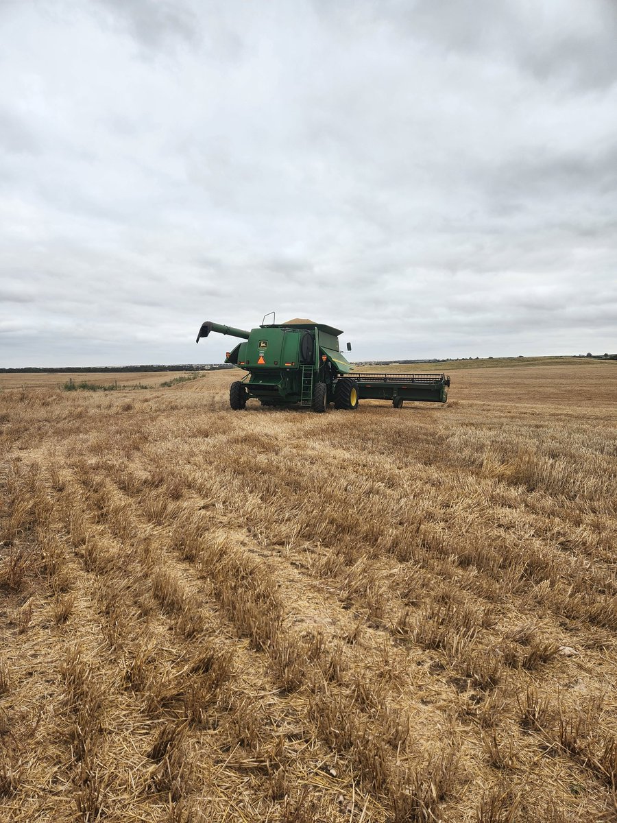 Harvest under way on the farm! Very nice to get some good weather!