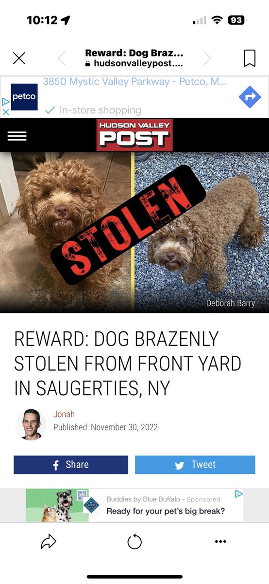 Beth (@missrumphius722) on Twitter photo Please retweet 🙏🏻and help find Bella the Cockapoo🐾STOLEN from her yard in Saugerties, NY on Thanksgiving!💔Red late model pick-up truck was there! Who stole Bella🐾?😢 <a href="/SadeABC/">Sade Baderinwa</a> <a href="/LizCho7/">Liz Cho</a> <a href="/SamChampion/">Sam Champion</a> <a href="/MabeMaegan/">ABC7NY</a> <a href="/ABC7/">ABC7 Eyewitness News</a> 🙏🏻🙏🏻🙏🏻🙏🏻🙏🏻 Please retweet 🙏🏻and help find Bella the Cockapoo🐾STOLEN from her yard in Saugerties, NY on Thanksgiving!💔Red late model pick-up truck was there! Who stole Bella🐾?😢 <a href="/SadeABC/">Sade Baderinwa</a> <a href="/LizCho7/">Liz Cho</a> <a href="/SamChampion/">Sam Champion</a> <a href="/MabeMaegan/">ABC7NY</a> <a href="/ABC7/">ABC7 Eyewitness News</a> 🙏🏻🙏🏻🙏🏻🙏🏻🙏🏻