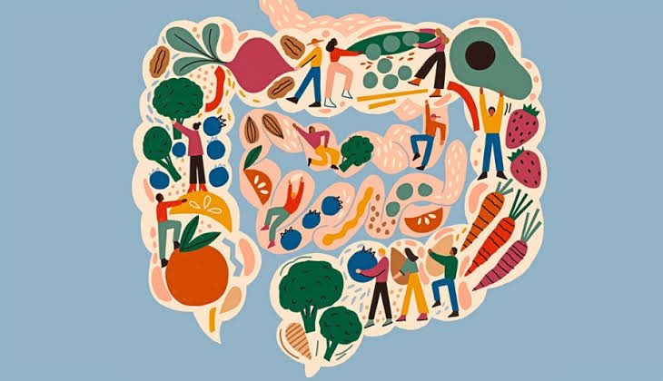 DrSkyeMarshall's tweet photo. 👋🏼 New funded #PhD opportunity at @QUT with https://t.co/mWUeyWnosv scholarship top-up! Passionate about #GutHealth and/or #Oncology? Have a nutrition &amp; dietetics #RD #APD background? Apply now: https://t.co/i4hAXvn9qz https://t.co/z5VEcfINOm